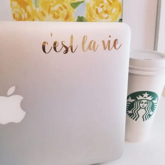 

C'est La Vie Computer Sticker Computer Decal French C'est La Vie Quotes Computer StickersDIY Modern Decors Cut Vinyl Sticker MC8