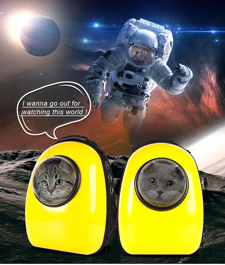 5244752226_252378912