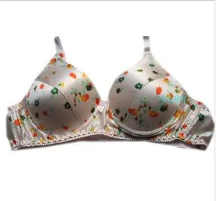 Прямые производители бюстгальтера из 100% шелка|silk bra|bra cheapbra silk |