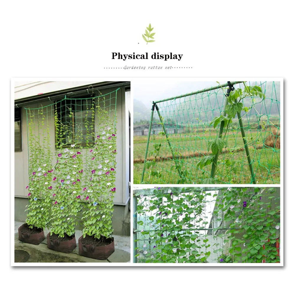 

Garden Green Nylon Trellis Netting Support Climbing Bean Plant Nets Grow Fence for Cucumber Towel Gourd