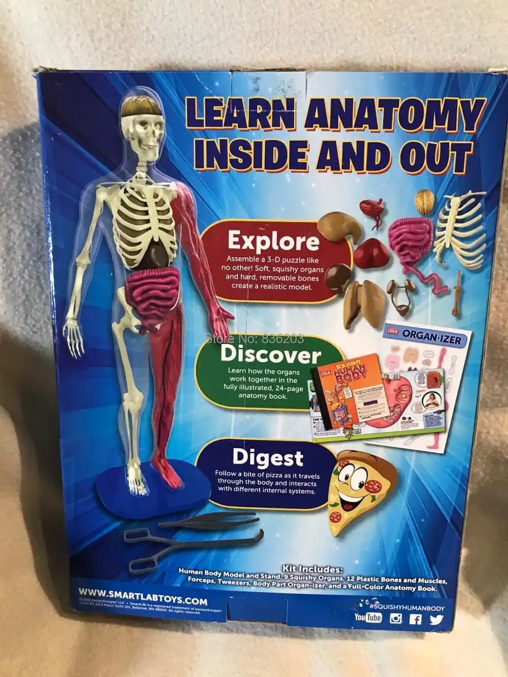 squishy human body kit