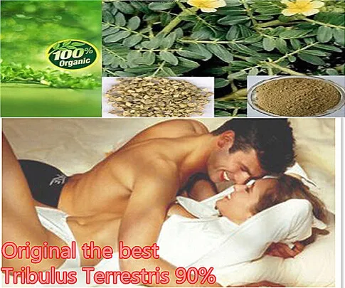 

(3bag/lot)Pure Gokshurai Tribulus Terrestris Extract Powder, 90% Saponins100 Caps* 500mg Each (Libido) with Free Shipping