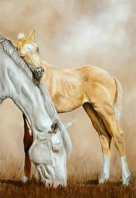 aa12 (2)