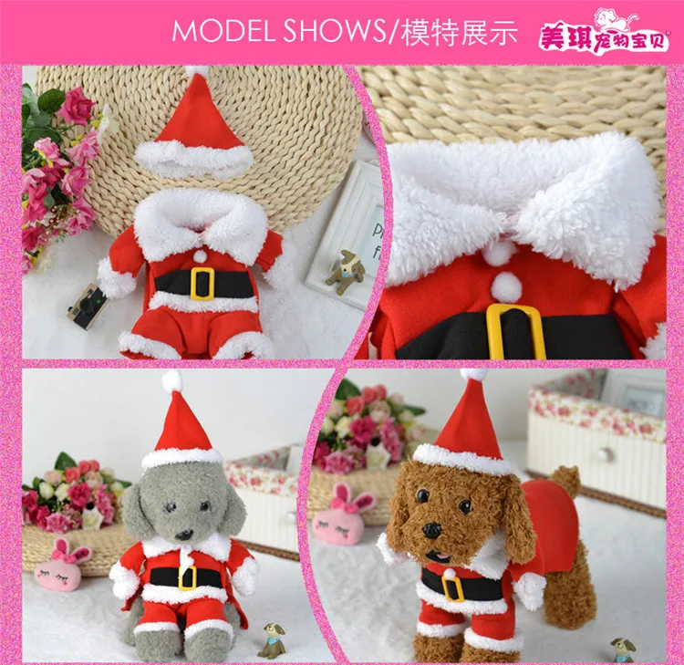  dog clothing 19