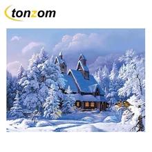 RIHE Snowing Cottage Diy Painting By Numbers A World Of Snow And Ice Oil Painting On Canvas Cuadros Decoracion Acrylic Wall