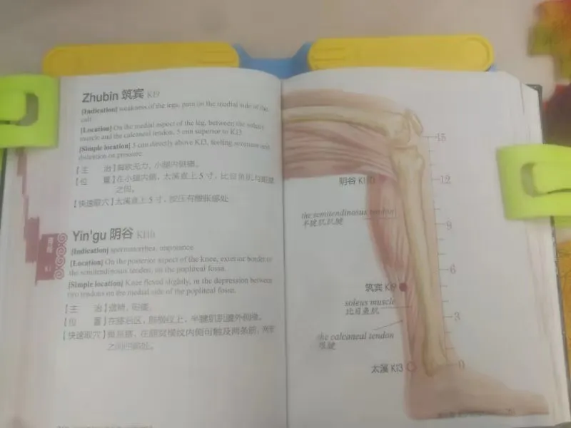 微信图片_20190629104300