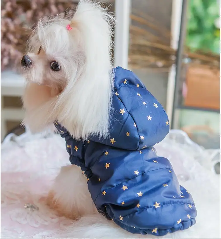 QQ20171208160517