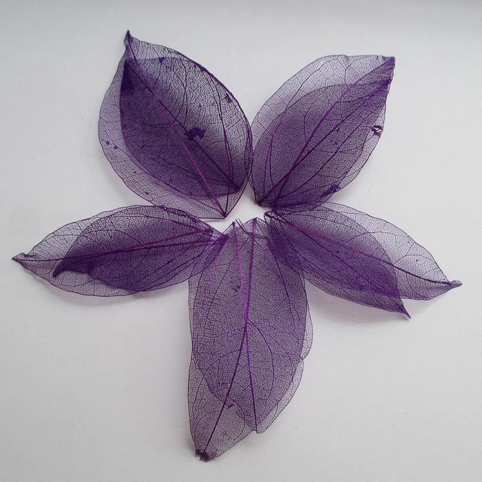

Free shipping Wholesale 100pcs purple color Natural skeleton leaves for DIY 3-7cm 014005011