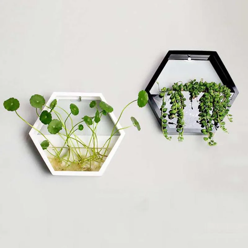

Modern Creative Hanging Flower Pot Hydroponic Succulent Plant Wall Vase Acrylic Wall Planters Home Decoration Garden Accessories