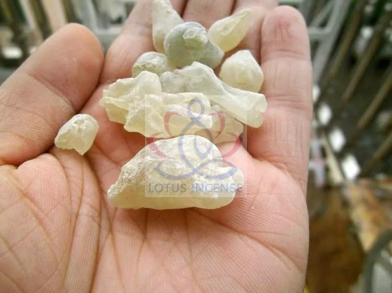 Oman-frankincense-A-3-1