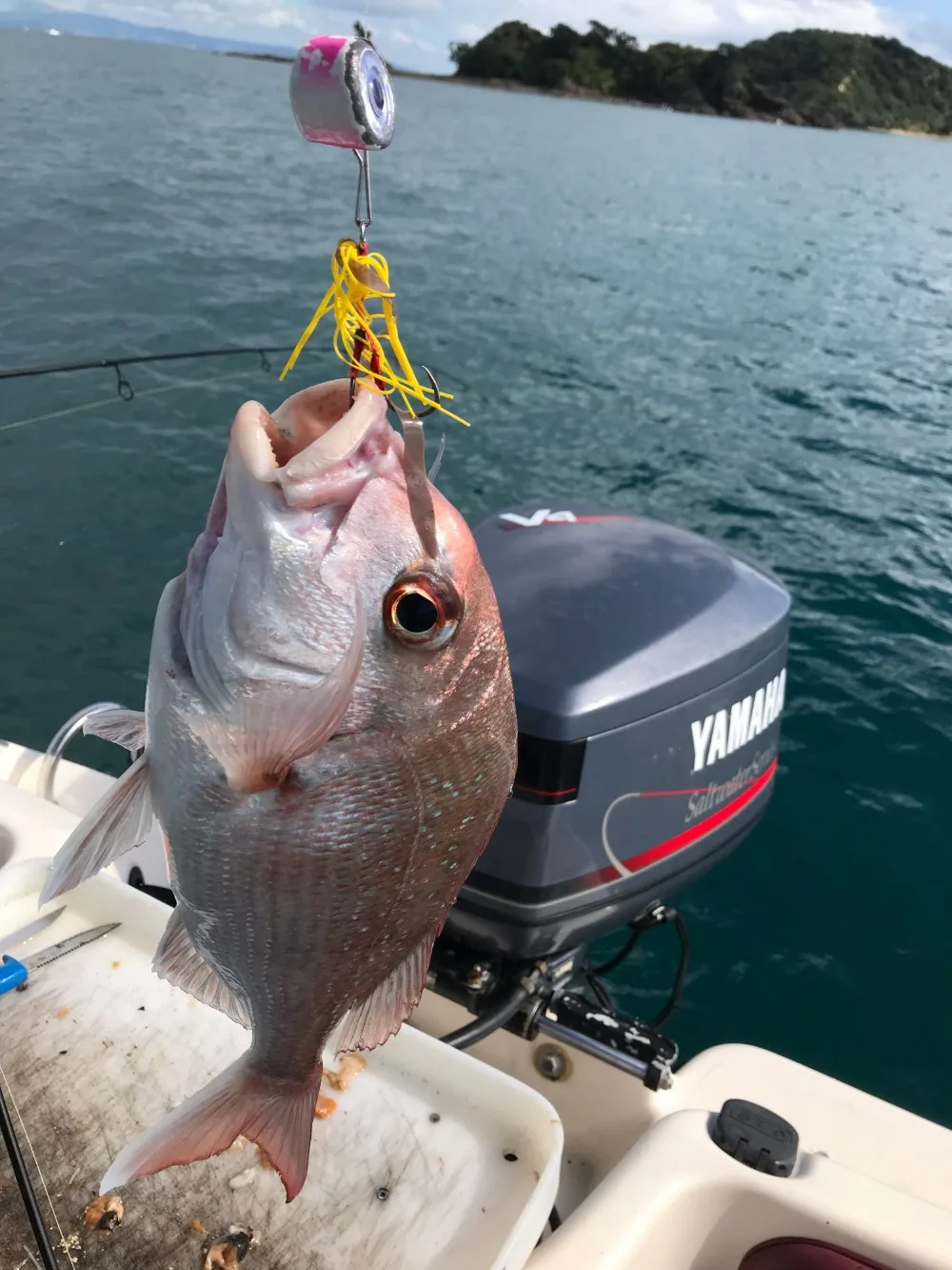 4 шт. 135 г/100 г/80 г/60 г/40 г Kabura Pesca Slider Snapper/Sea bream Jig head с юбкой свинец джиг приманка