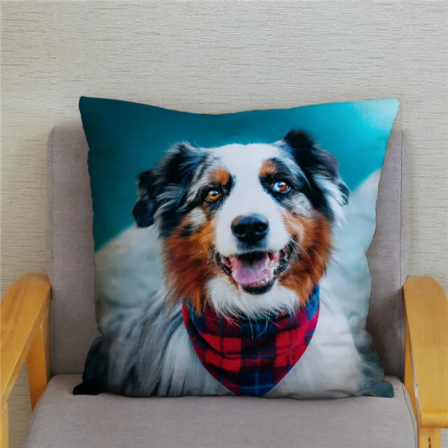 aussie plush pillow