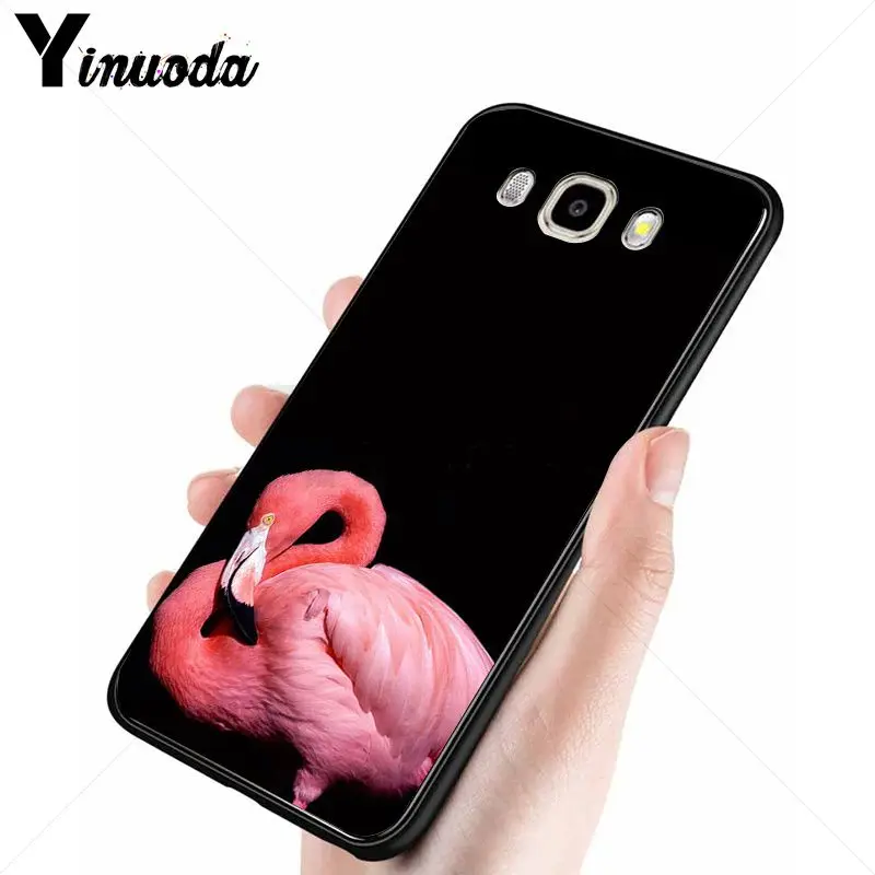 red summer animal flamingo