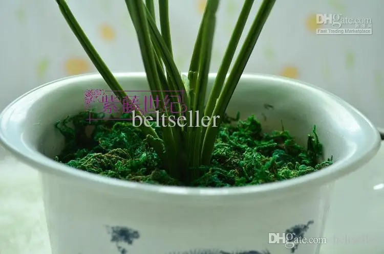  High quatity green moss Wedding Home DIY Decorative Garland Flowers Dried Floral flower arrangement decoration 200g
