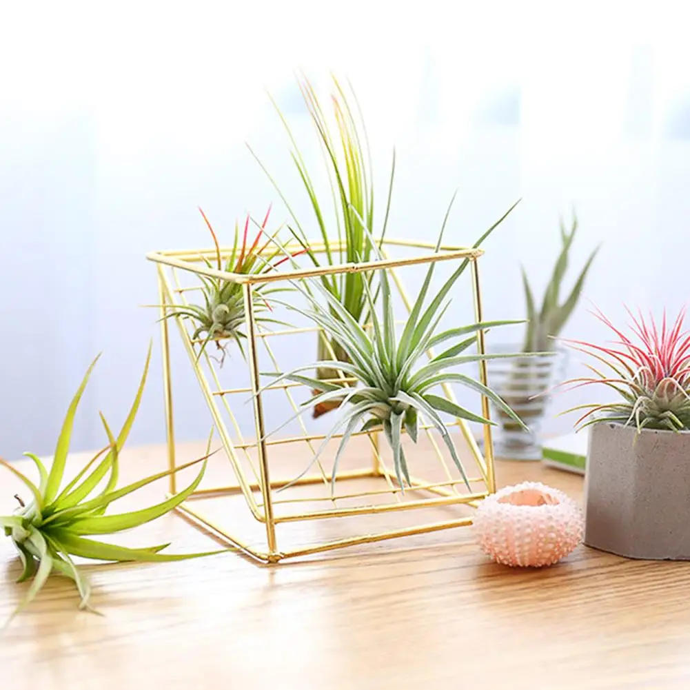

Rustic Delicate Iron Freestanding Hanging Rack Holder Double-layer Geometrical Square Grid Air Plant Receptacle Flower Stand