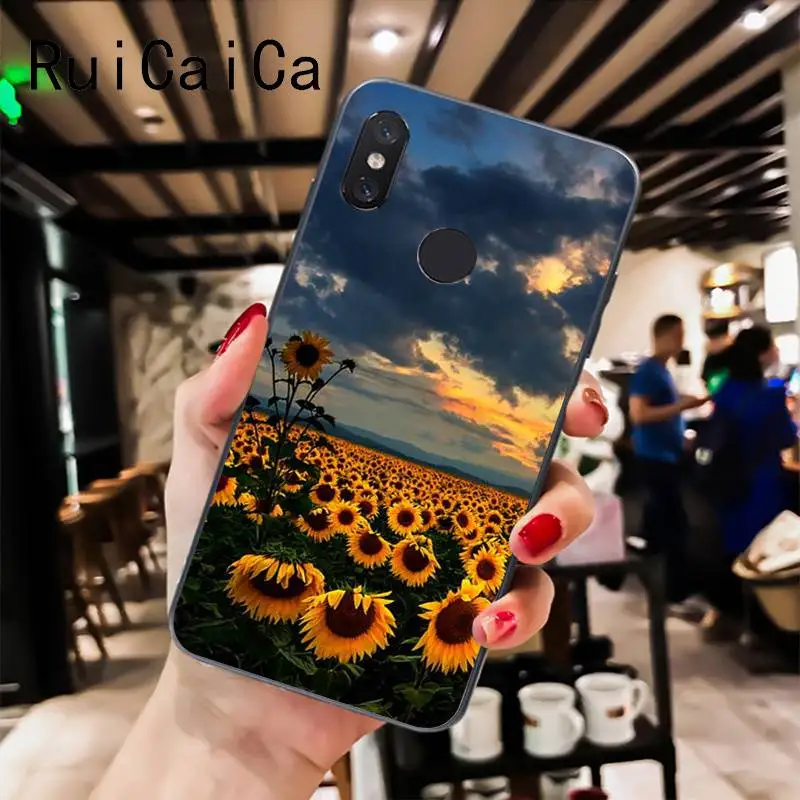 Sunflower Peony Flower