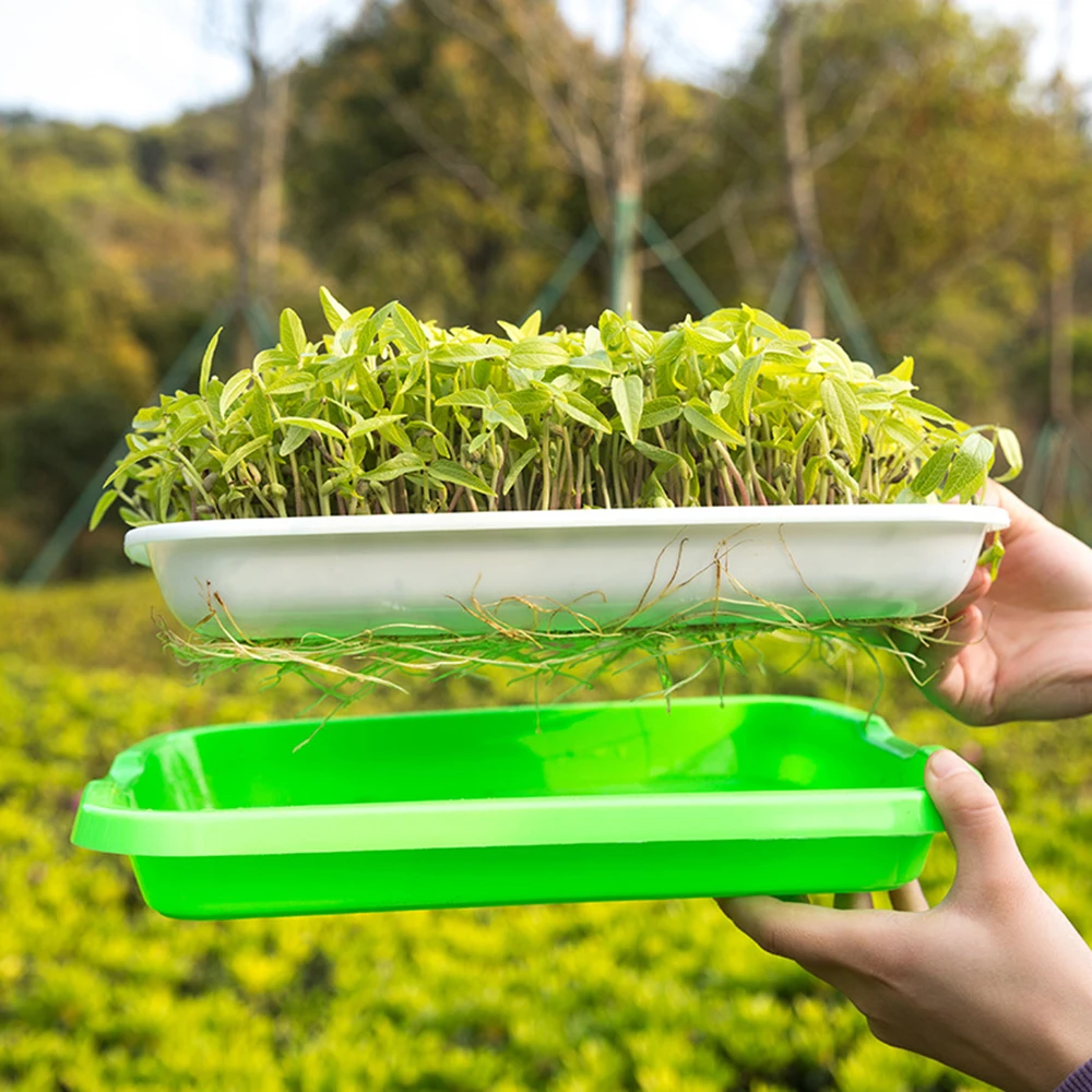

Seed Sprouter Tray Double-layer Soilless Culture Seeds Hydroponic Nursery Tray