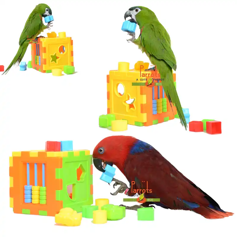 cockatiel puzzle toys