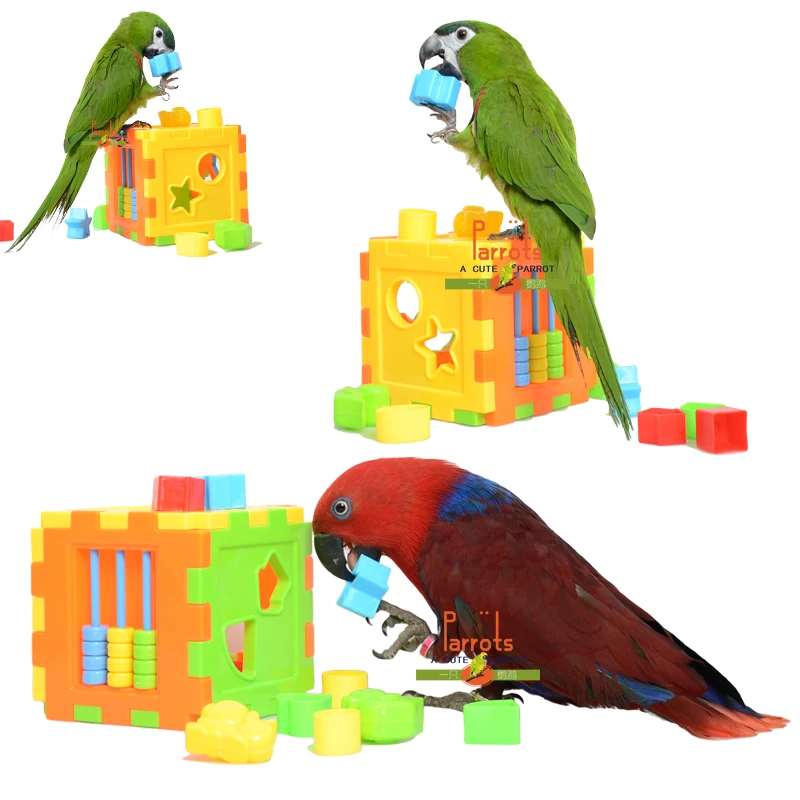 

Parrot Puzzle Building Block Bird Intelligence Training Development Toys for Cockatiel Macaw Budgie DIY Part Accessories Toy