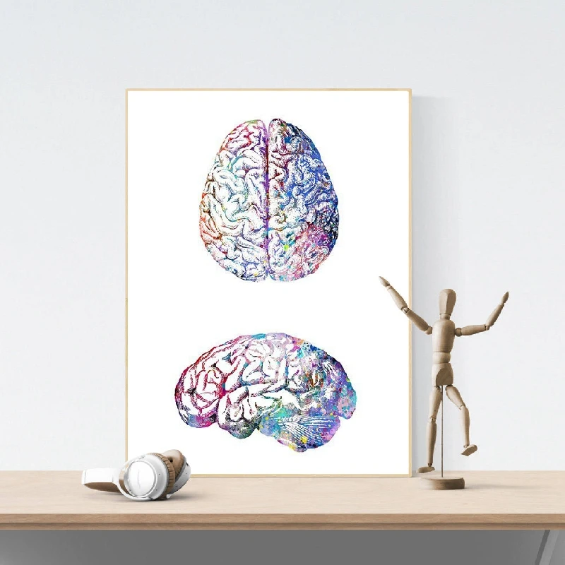 

Human Brain Anatomy Side and Upside View Posters and Prints Colorful Watercolor Wall Art Biology Science Medical Painting Gift