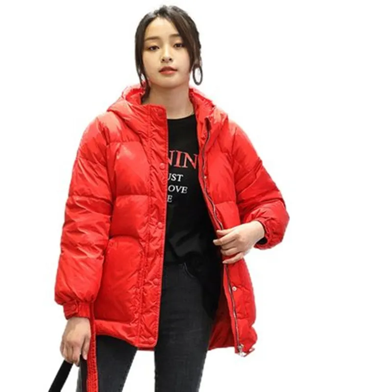 Women's Winter Jackets Fashion Collar Women's Down Jacket 2019 Winter New Short Paragraph Down Jacket Sweet Coat Female  S M L (2)