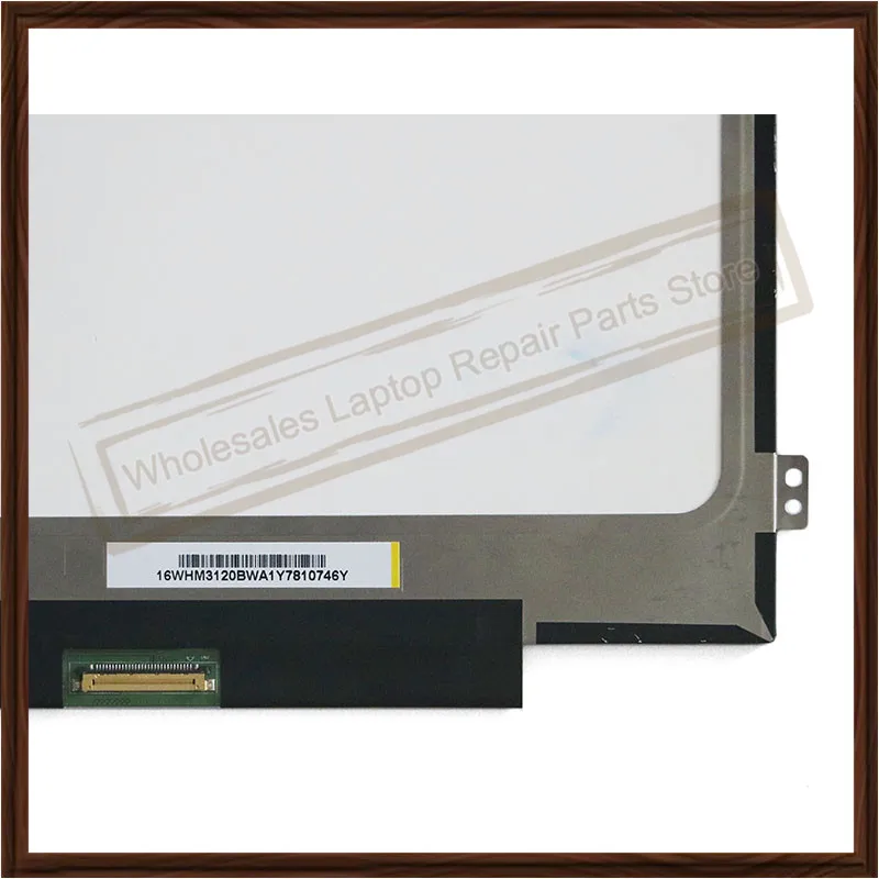 NV116 WHM-N43 (7)