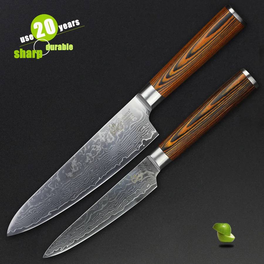 HAOYE 2 piece kitchen knives set Japanese vg10 quality Damascus