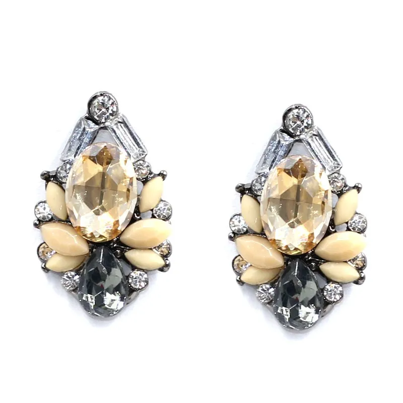 Women's Wondrous Crystal Decorated Earrings-5