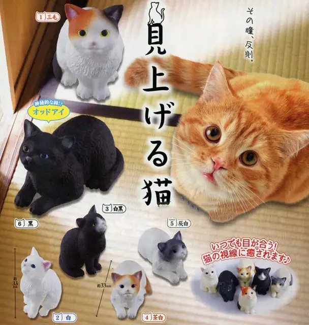 Japanese Original Capsule Toys Cute Kawaii Pet Orange Cat British