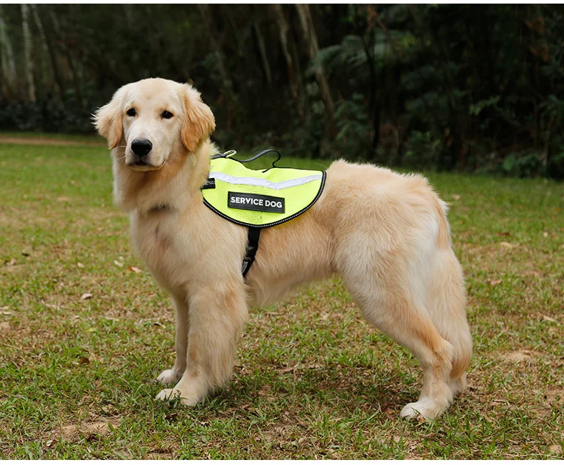 PD20025Service_13