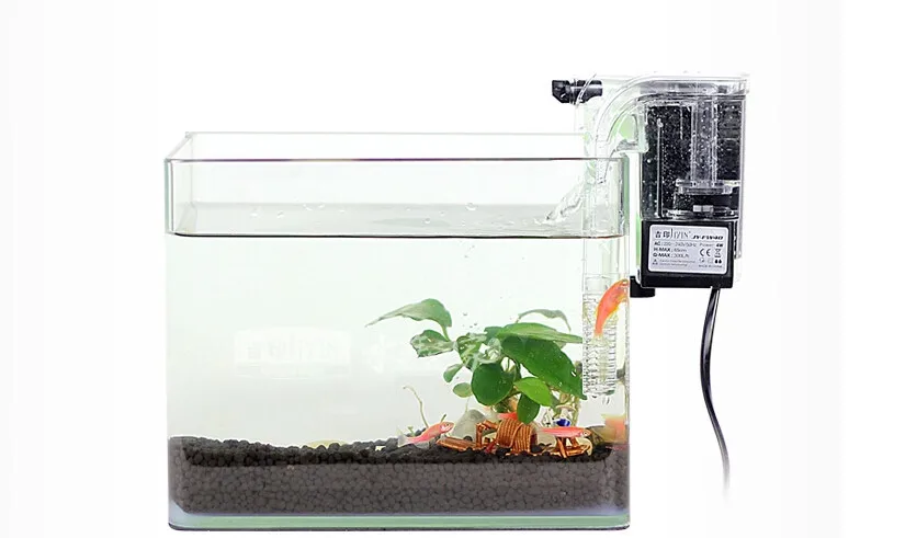 920 Koleksi Desain Aquarium Kura Kura Terbaru