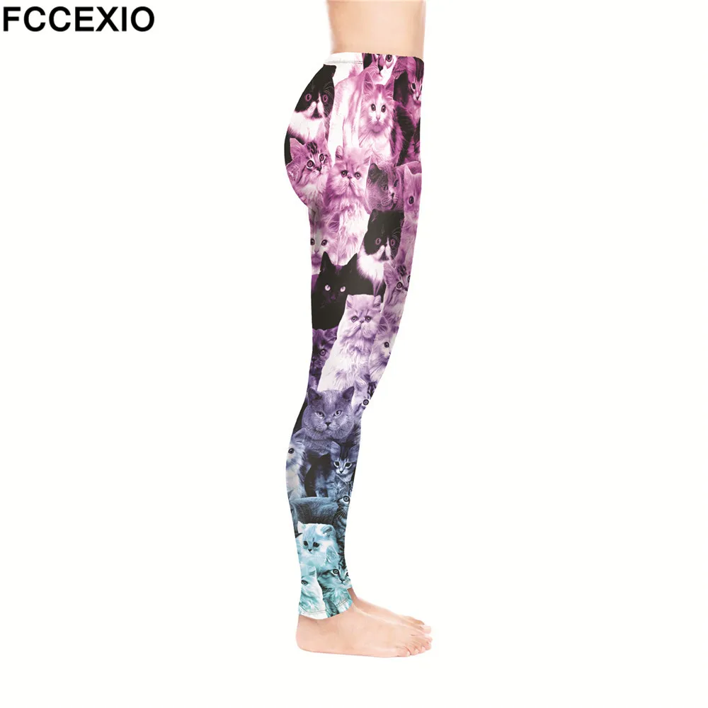 52176 CATS OMBRE PINK (4)
