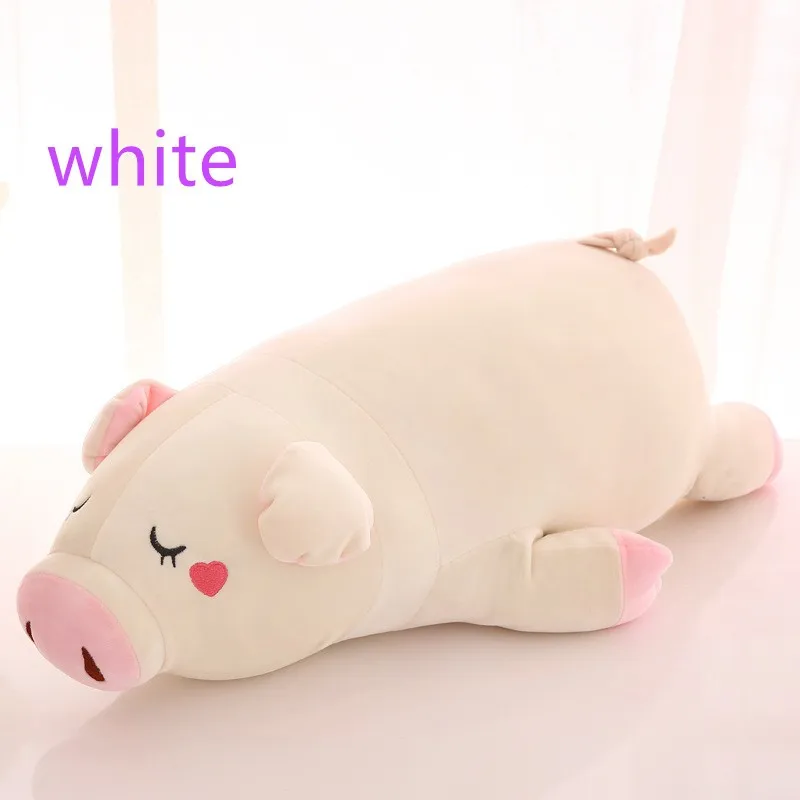 3506246481_130372717