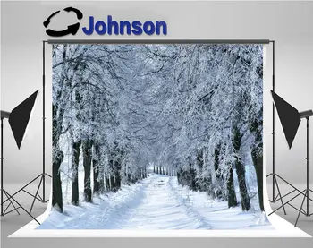 

winter wonderland Tree Alley backdrop Vinyl cloth High quality Computer print wall background