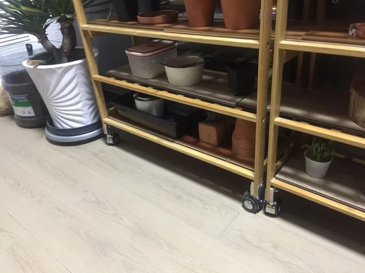 High Quality Renovação da Casa