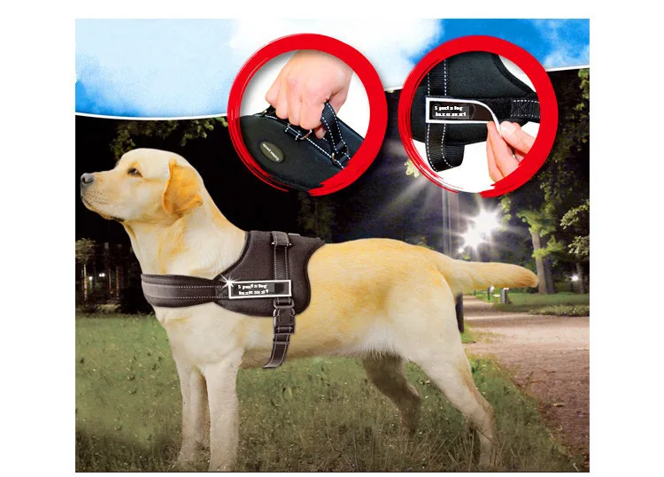 dog harness set