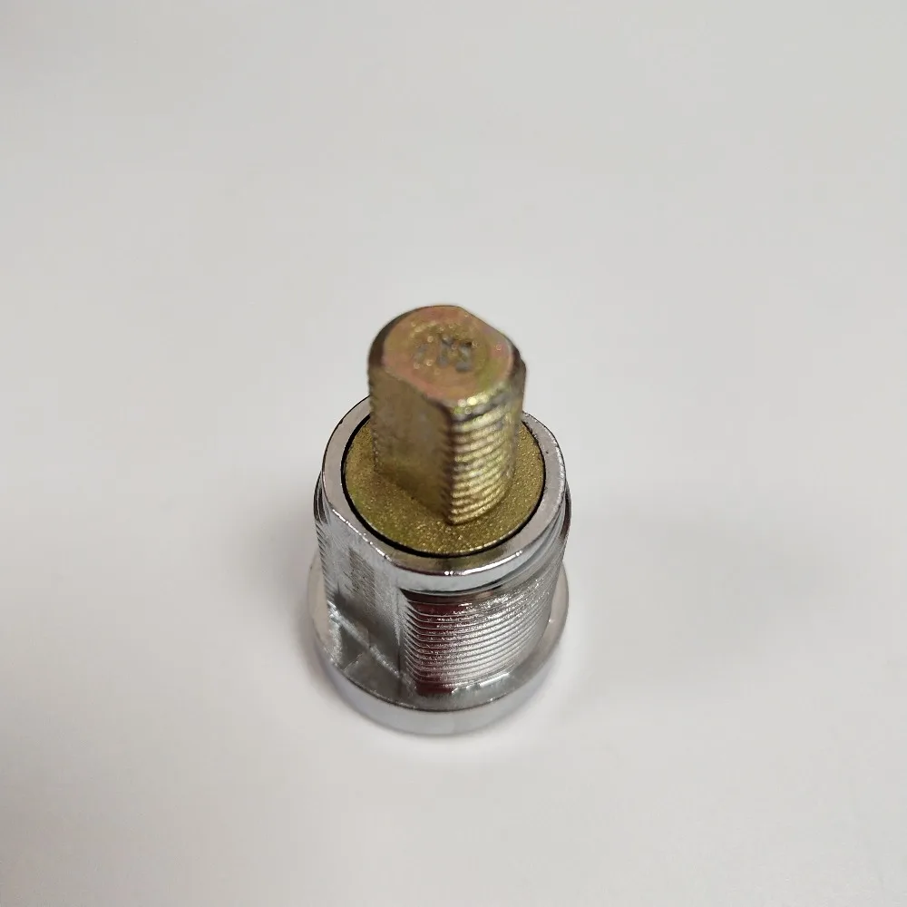 SA17 (4)