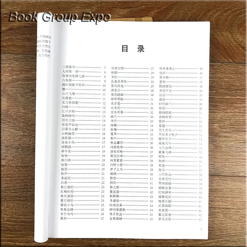 Китайская знаменитая искусственная книга для рисования Zhao Shao ang/традиционные