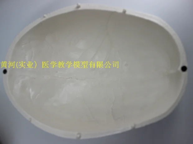 //img.alicdn.com/imgextra/i2/195409353/TB2DiyVaR0kpuFjy1zdXXXuUVXa_!!195409353.png