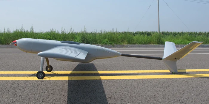 large fpv plane