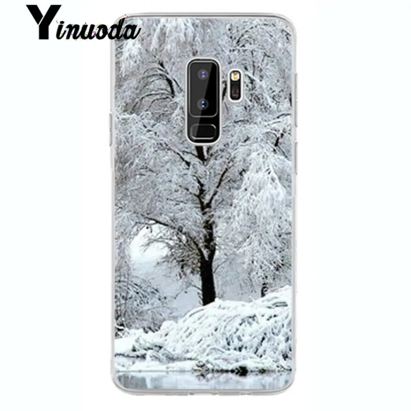 Landscape Winter Light Snow Christmas 