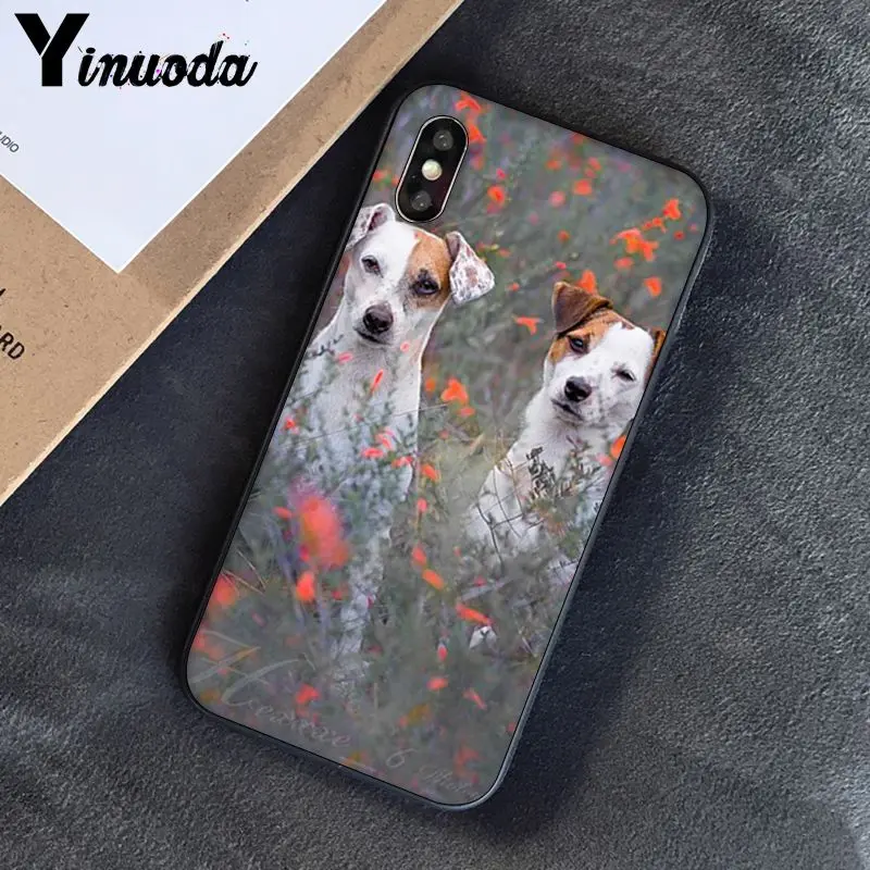 Yinuoda Джек Рассел терьер собака чехол для телефона iphone SE 2020 8 7 6 6S 6plus X XS MAX 5 5S XR 10