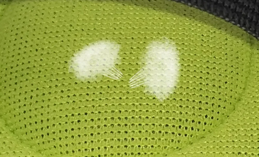 8 - CBD81225001_20181225095545072