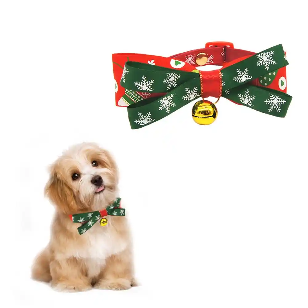 tie cup dog