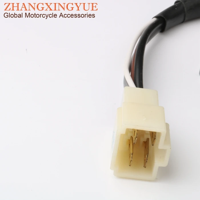 zhang1200052