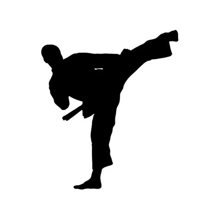 

12*14CM Kung Fu Taekwondo Car Sticker Decal The Window Decoration Karate Car Stickers And Decals