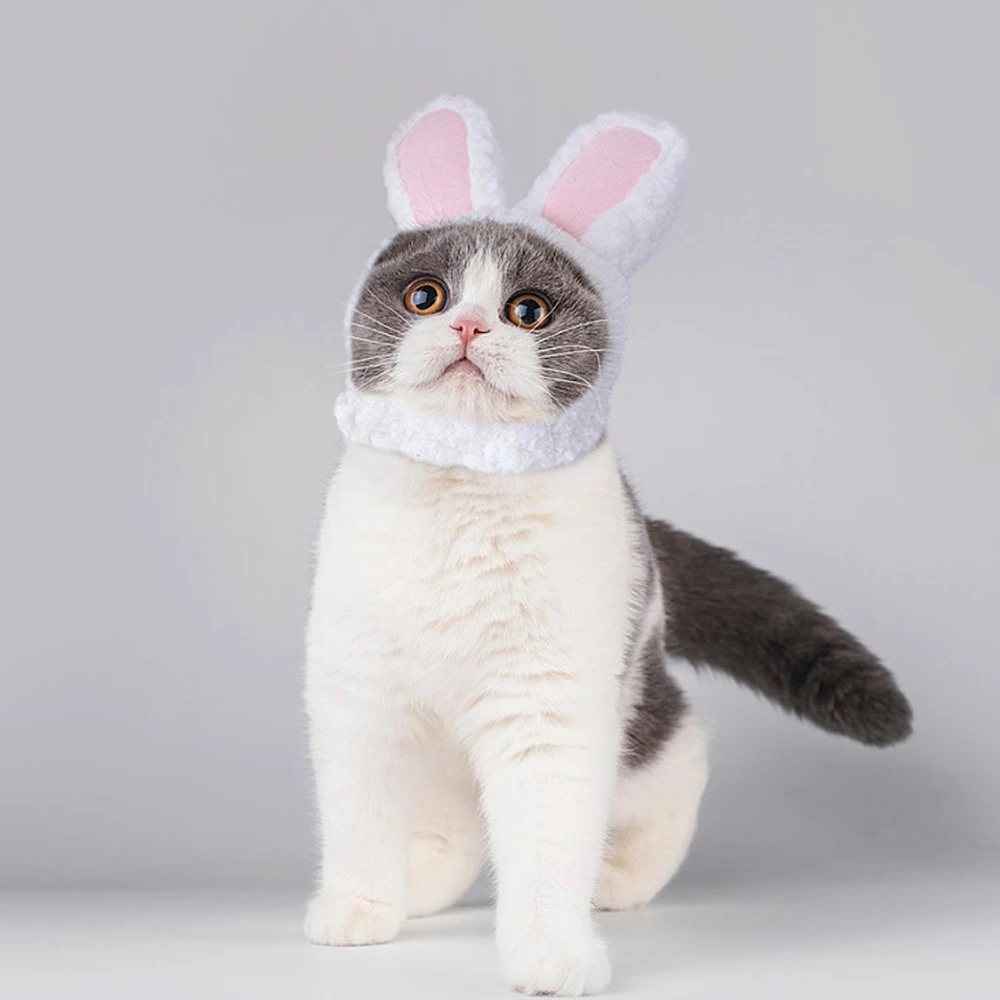 Costume Amusant De Cosplay Pour Chat Et Chaton Chapeau Lapin Casquette Chat Mignon Vetements D Halloween Et De Noel Accessoires Pour Petits Chiens Aliexpress Costume Amusant De Cosplay Pour Chat Et Chaton Chapeau Lapin Casquette Chat Mignon Vetements D Halloween Et De Noel Accessoires Pour Petits Chiens Aliexpress