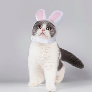 Funny Cute Cat Cosplay Costume Rabbit Hat Cap