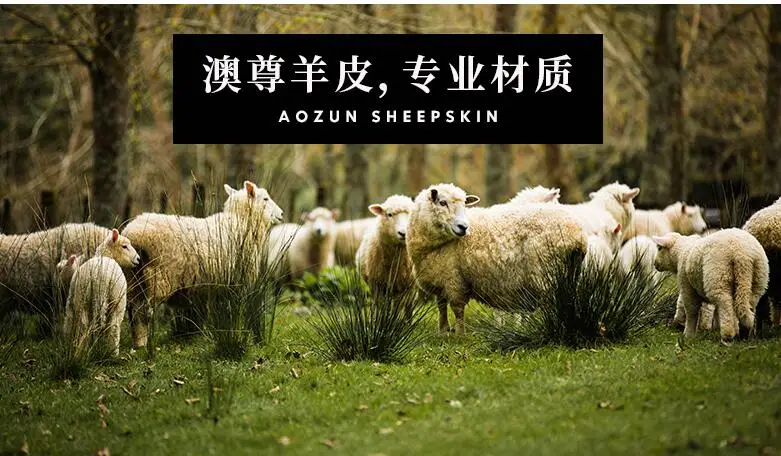 QQ20190118100435