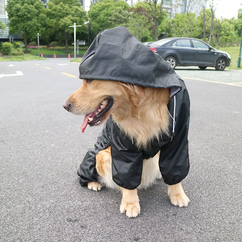 未标题-2